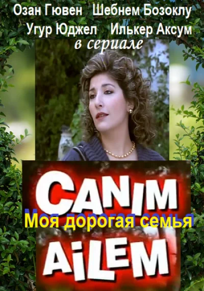 Смотреть онлайн Дорогая моя семья 2008